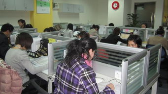 新易太和 北京新易太和教育咨詢有限公司的專業教育信息咨詢服務解析